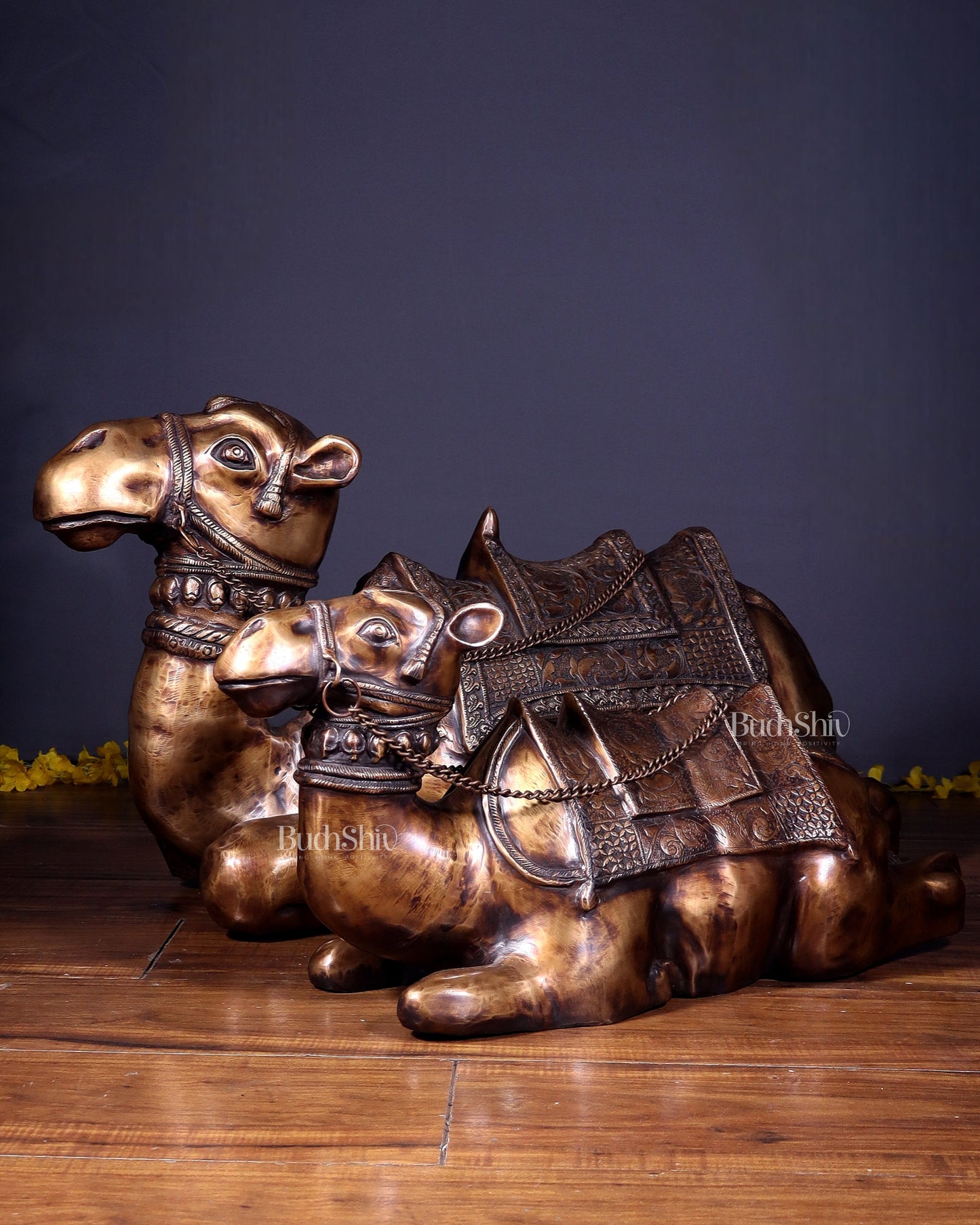 Brass Pair of large Sitting Camel Statues 36" Vastu approved | 100% Certified Copper & Brass - Sama Homes Idol - Brass Sculpture