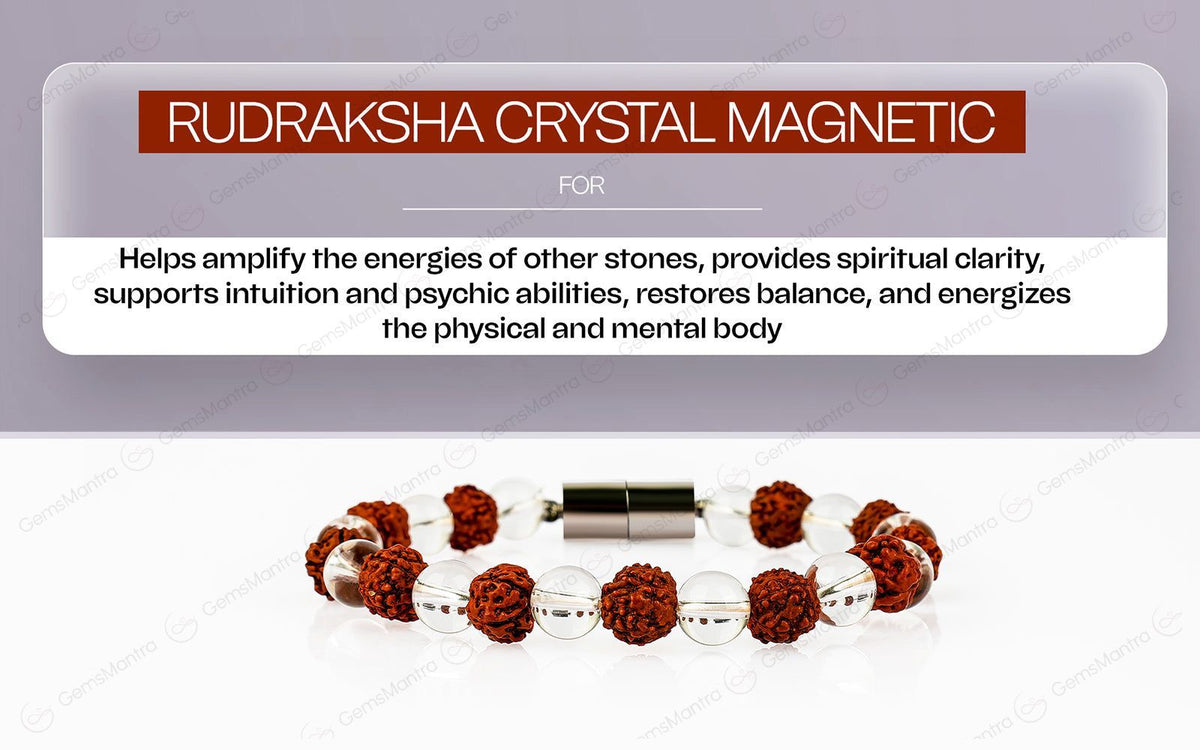Original Rudraksha Crystal Magnetic Bracelet with Certificate