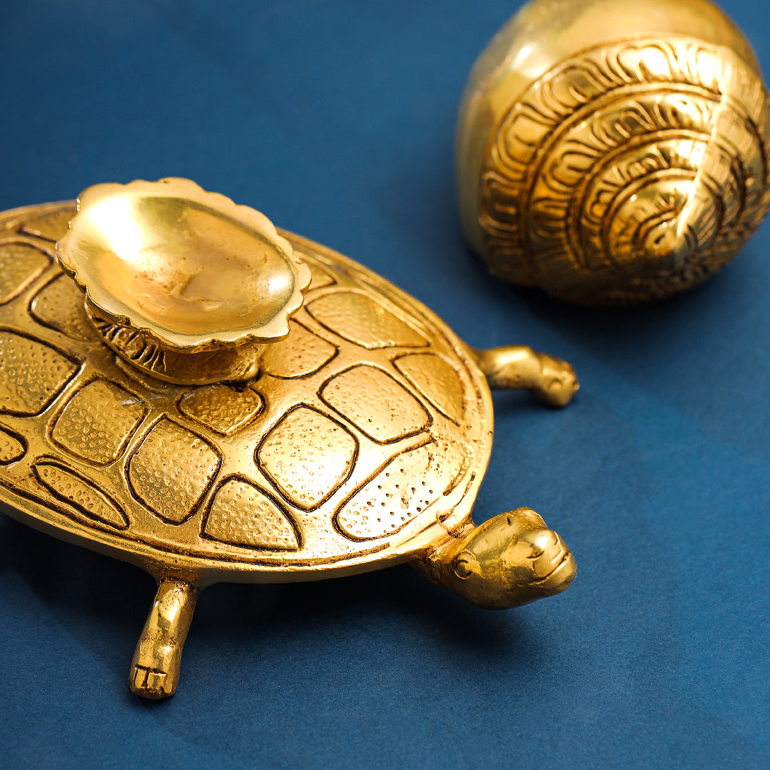 Brass Conch On Tortoise (4.5 Inch) - Image 5