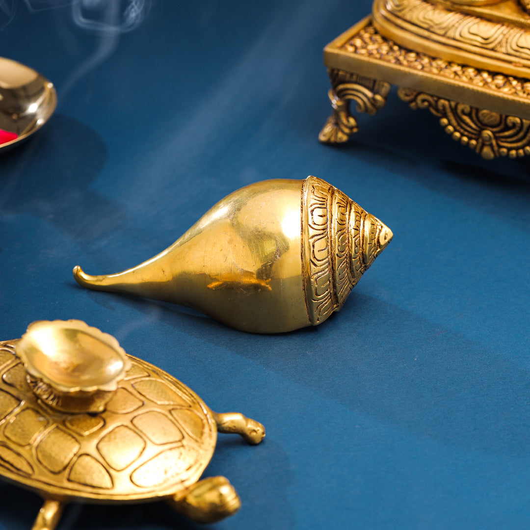 Brass Conch On Tortoise (4.5 Inch) - Image 6