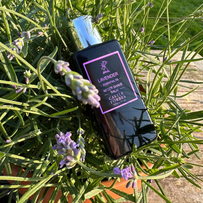 Luxury Aftershave Balm, Lavender Essential Oil, No Added Alcohol, 5 fl.oz / 150ml by Castle Forbes - Post Shave Balms (View 3)