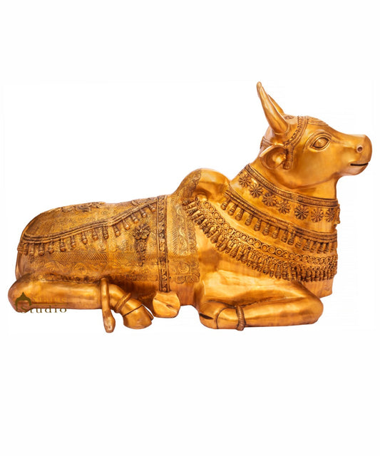 Brass Large Size Holy Cow Nandi Idol Home Temple Exclusive Décor Statue 5 Feet