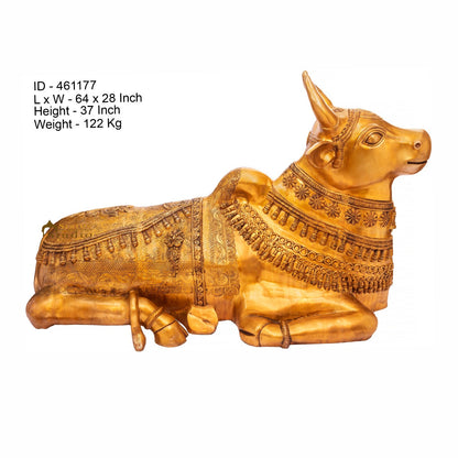 Brass Large Size Holy Cow Nandi Idol Home Temple Exclusive Décor Statue 5 Feet by vendor-unknown - Spiritual (View 5)