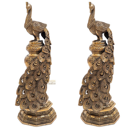 Brass Exclusive Peacock Pair Feng Shui Vastu Décorative Statue Showpiece 19" by vendor-unknown - Decor (View 3)
