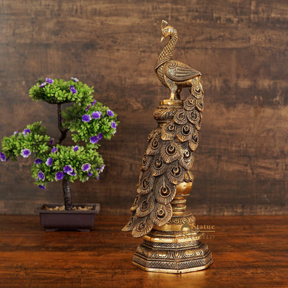 Brass Exclusive Peacock Feng Shui Vastu Décorative Statue Showpiece 19" by vendor-unknown - Decor