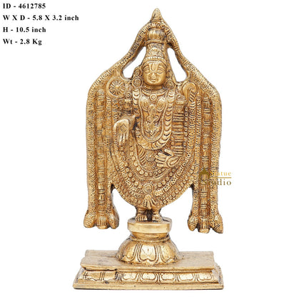 Brass Tirupathi Balaji Venkateshvara Idol Home Pooja Temple Décor Statue 10" by vendor-unknown - Gifting (View 7)
