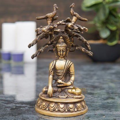 Brass Antique Rare Buddha Statue Small Sitting Under Tree Gift Showpiece 6" by vendor-unknown - Buddha