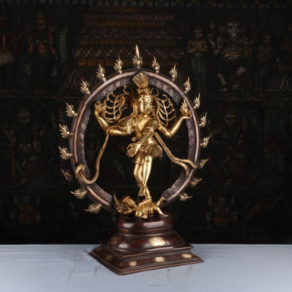 Brass Dancing Shiva Nataraja Statue Idol Sculpture Brown Finished Decor 2 Feet by vendor-unknown - Hindu Gods (View 5)