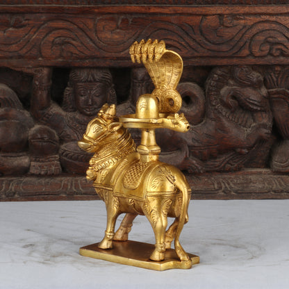 Brass Shiva Nandi Statue Brown Finished Idol Figurine For Decor 8" by vendor-unknown - Spiritual (View 4)