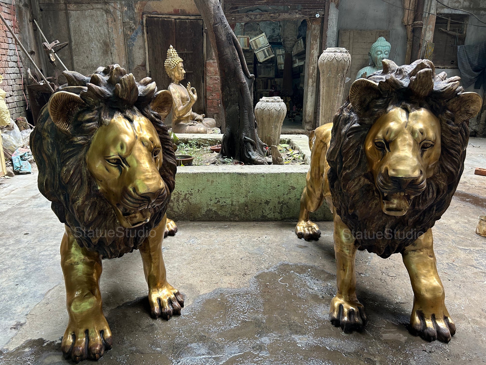 Brass Lion Pair Statue Big Life Size Figure For Home Garden Decor 4 Feet Tall - Image 3