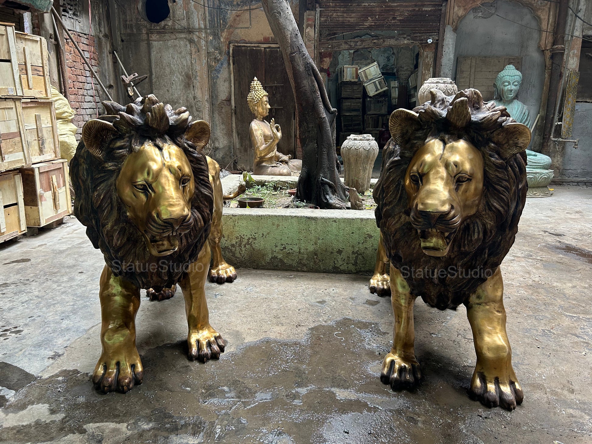 Brass Lion Pair Statue Big Life Size Figure For Home Garden Decor 4 Feet Tall - Image 4