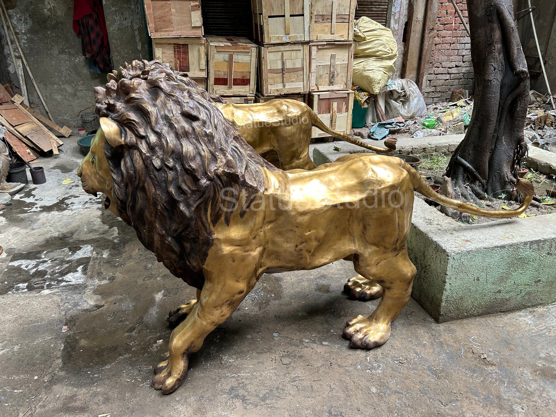 Brass Lion Pair Statue Big Life Size Figure For Home Garden Decor 4 Feet Tall - Image 5