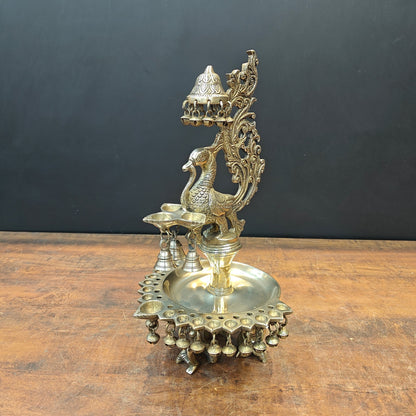 Brass Peacock Diya Oil Lamp 17" by vendor-unknown - Spiritual (View 6)