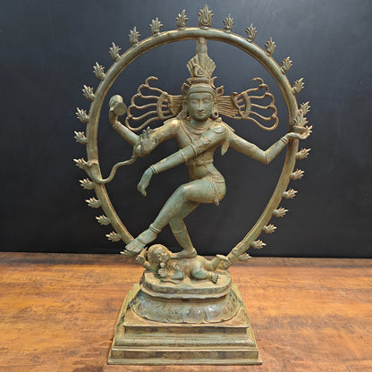 Brass Unique Nataraja Statue Antique Bronze Patina Finish 31 Inches by vendor-unknown - Hindu Gods (View 3)