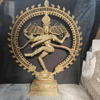Brass Natraja Idol Dancing Shiva Statue Green Patina Finish 6 Feet by vendor-unknown - Hindu Gods (View 3)