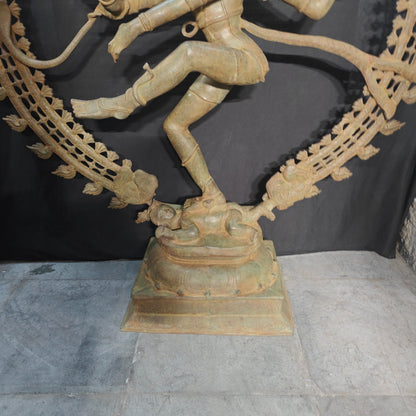 Brass Natraja Idol Dancing Shiva Statue Green Patina Finish 6 Feet by vendor-unknown - Hindu Gods (View 8)