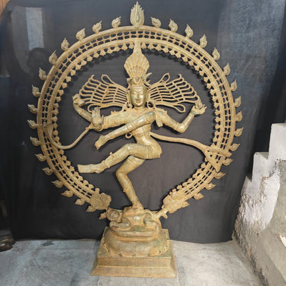 Brass Natraja Idol Dancing Shiva Statue Green Patina Finish 6 Feet by vendor-unknown - Hindu Gods (View 9)