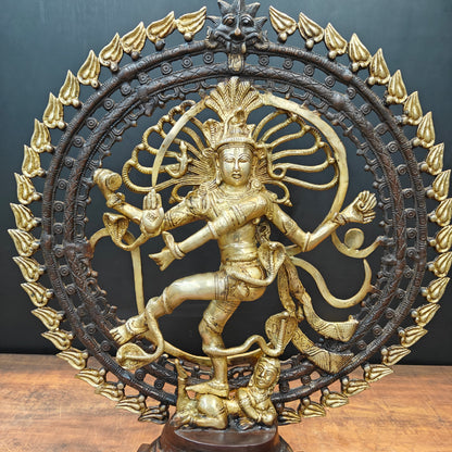 Brass Nataraja Statue Sculpture Antique Chola Finish 26 Inches by vendor-unknown - Hindu Gods (View 5)