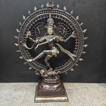 Brass Dancing Shiva as Nataraja Statue Antique Finish 4 Feet by vendor-unknown - Hindu Gods (View 7)