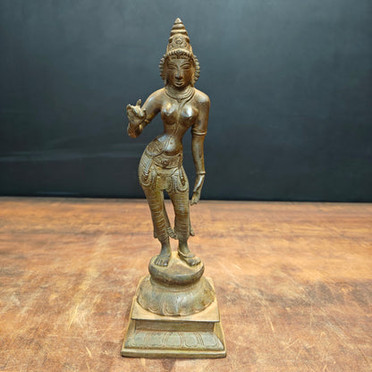 Brass Standing Parvati Statue Antique Patina Finish 12 Inch by vendor-unknown - Hindu Gods (View 3)
