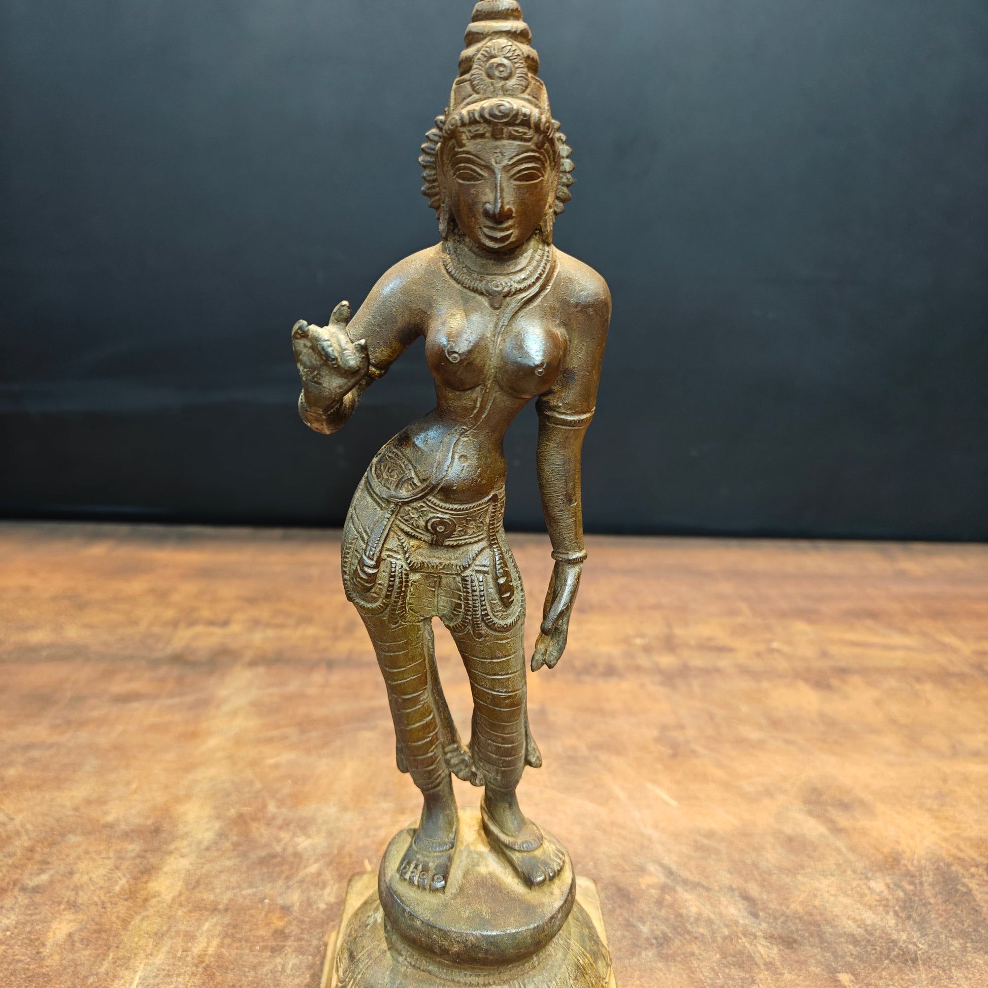Brass Standing Parvati Statue Antique Patina Finish 12 Inch - Image 4