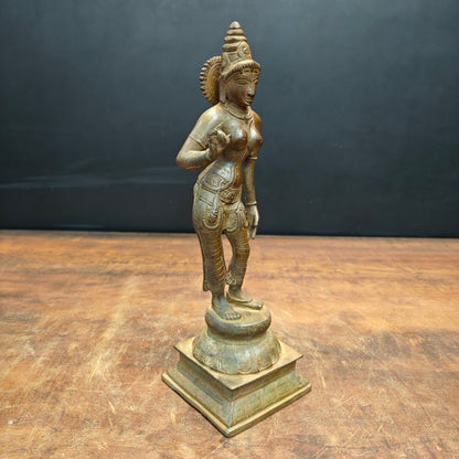 Brass Standing Parvati Statue Antique Patina Finish 12 Inch by vendor-unknown - Hindu Gods (View 5)