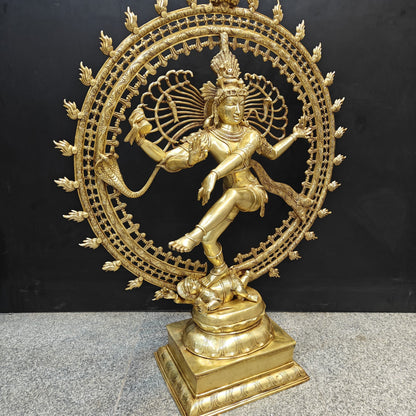 Brass Nataraja Statue as Dancing Shiva Golden Finish 4 Feet by vendor-unknown - Hindu Gods (View 6)