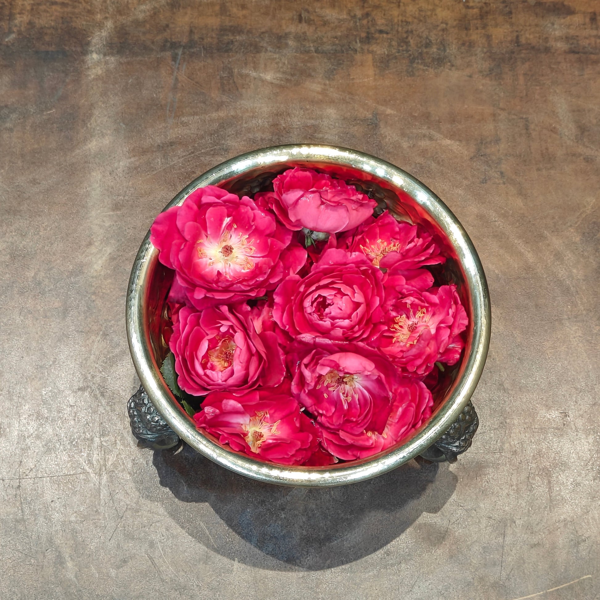 Brass Sheet Lightweight Urli With Elephant Legs 6 Inch - Image 4