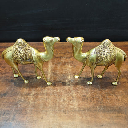 Brass Camel Pair Sculpture Vastu Recommended Showpiece 12 Inch by vendor-unknown - Decor (View 3)