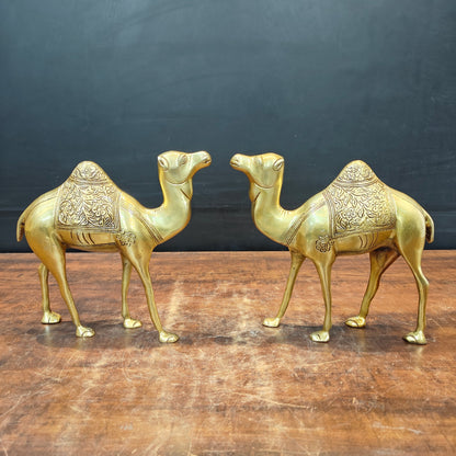 Brass Camel Pair Sculpture Vastu Recommended Showpiece 12 Inch by vendor-unknown - Decor (View 4)