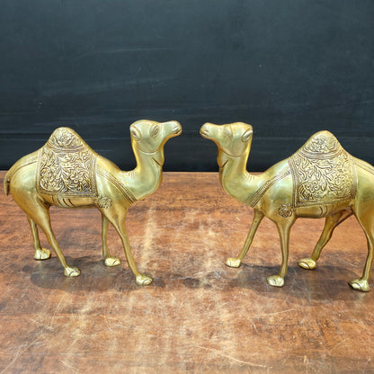 Brass Camel Pair Sculpture Vastu Recommended Showpiece 12 Inch by vendor-unknown - Decor (View 5)