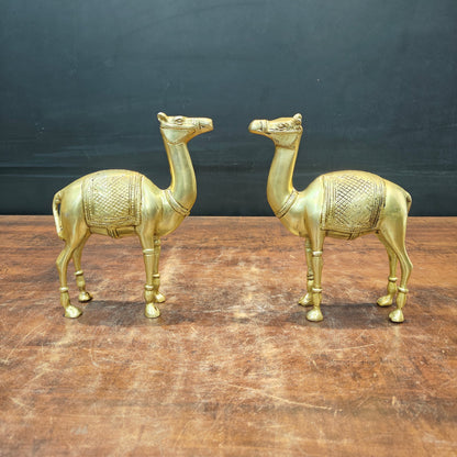 Brass Camel Pair Statue Vastu Recommended Showpiece 9 Inch by vendor-unknown - Decor (View 3)