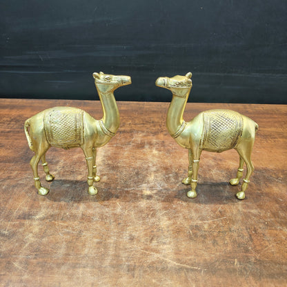 Brass Camel Pair Statue Vastu Recommended Showpiece 9 Inch by vendor-unknown - Decor (View 4)