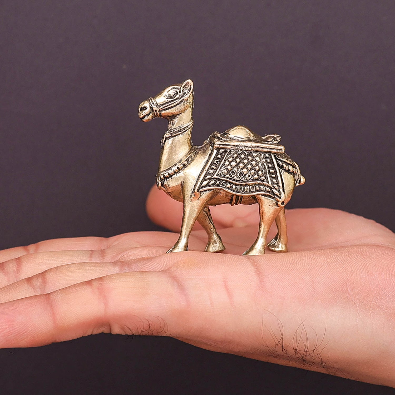 Brass Superfine Camel Pair Miniature Showpieces 2.2 Inch - Image 3