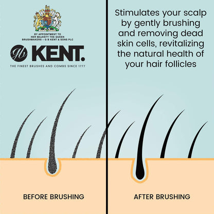 Kent Pebble Gold by Kent - Hair Brushes (View 4)