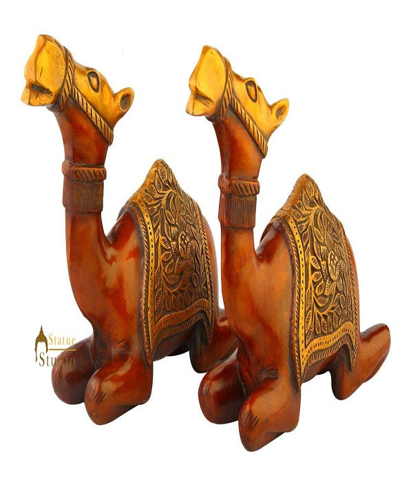 Brass Sitting Camel pair statue Showpiece decorative figurine sculpture 9" - Eco-friendly - Sama Homes