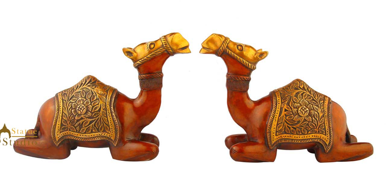 Brass Sitting Camel pair statue Showpiece decorative figurine sculpture 9" - Image 4