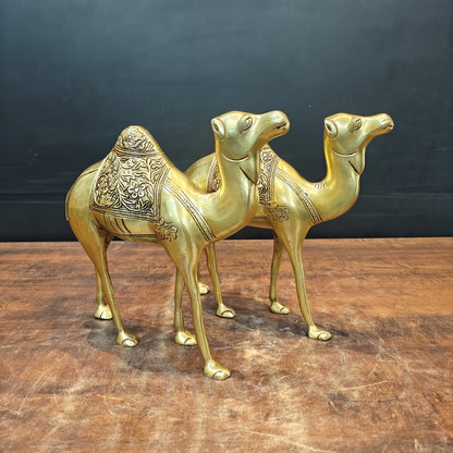 Brass Camel Pair Sculpture Vastu Recommended Showpiece 12 Inch by vendor-unknown - Decor