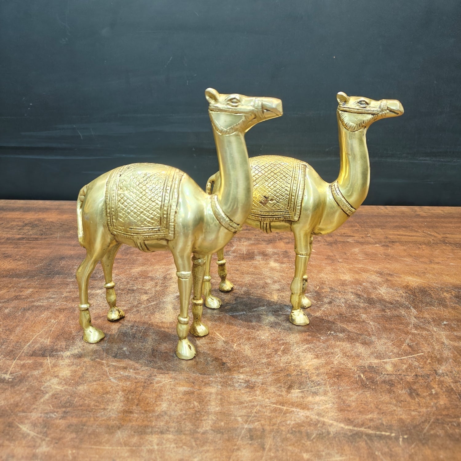 Brass Camel Pair Statue Vastu Recommended Showpiece 9 Inch - Eco-friendly - Sama Homes