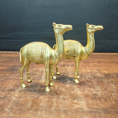 Brass Camel Pair Statue Vastu Recommended Showpiece 9 Inch by vendor-unknown - Decor