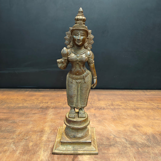 Brass Standing Parvati Idol Sculpture Antique Patina Finish 13 Inch
