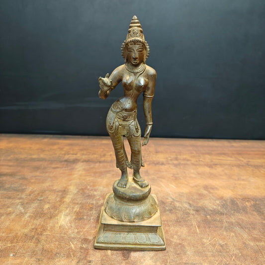 Brass Standing Parvati Statue Antique Patina Finish 12 Inch