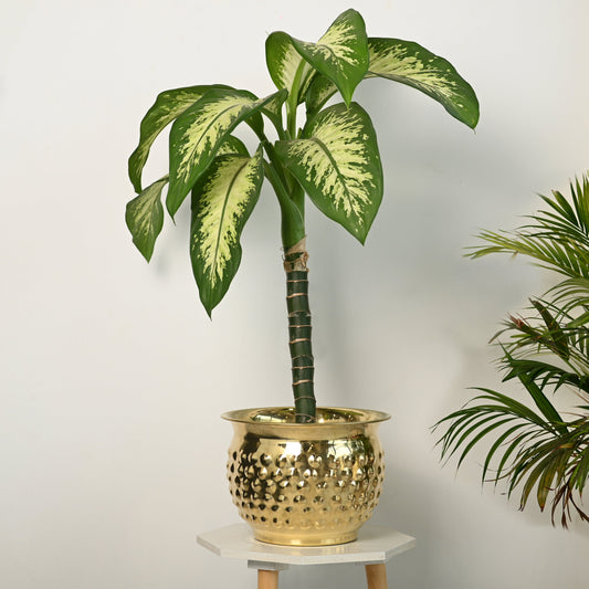Brass Hammered Bucket Planter Pot – Handcrafted Indoor & Outdoor Plant Pot | Sama Homes – Sama Homes