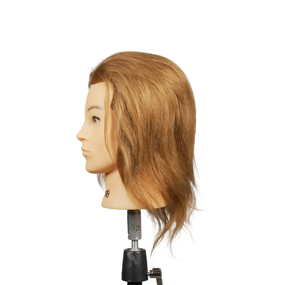 ELV8 Classic Premium Male Mannequin by ELV8 - Sustainable Living (View 2)