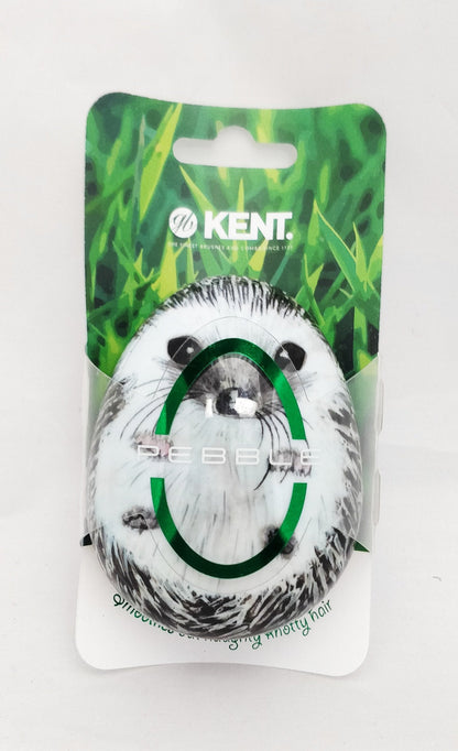 Kent Hedgehog Pebble Detangling Brush by Kent - Hair Brushes (View 4)