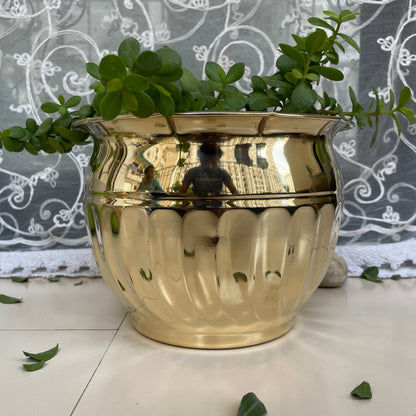 Brass Planters Matka Shape | Brass Plant Pots | Available in Set | Home and Office Decoration