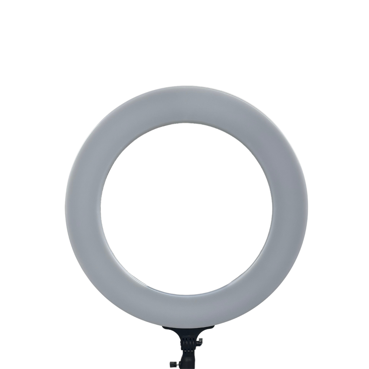 Ideal 22" Ring Light by Ideal Equipment - Sustainable Living (View 2)