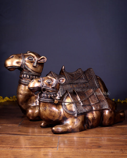Brass Pair of large Sitting Camel Statues 36" Vastu approved | 100% Certified Copper & Brass - Sama Homes Idol - Brass Sculpture