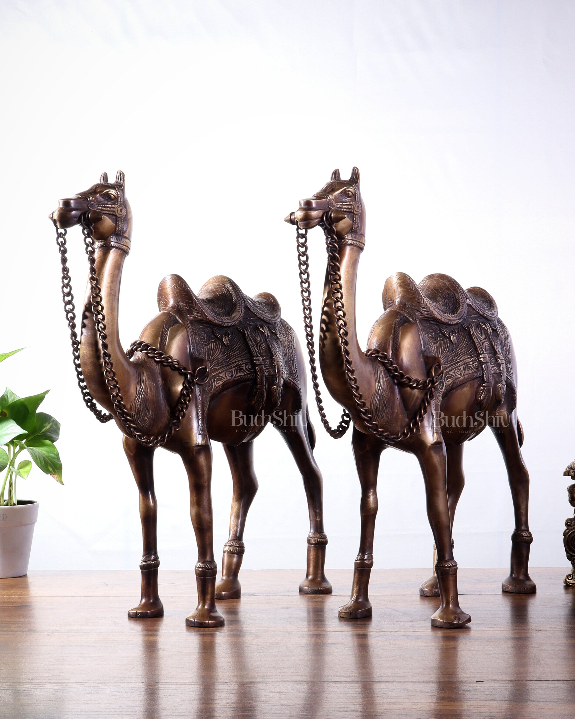 Pure Brass Camel pair Statues | Vastu Showpiece for Home & Office | 17" - Sama Homes Idol - Brass Sculpture - Eco-friendly - Sama Homes