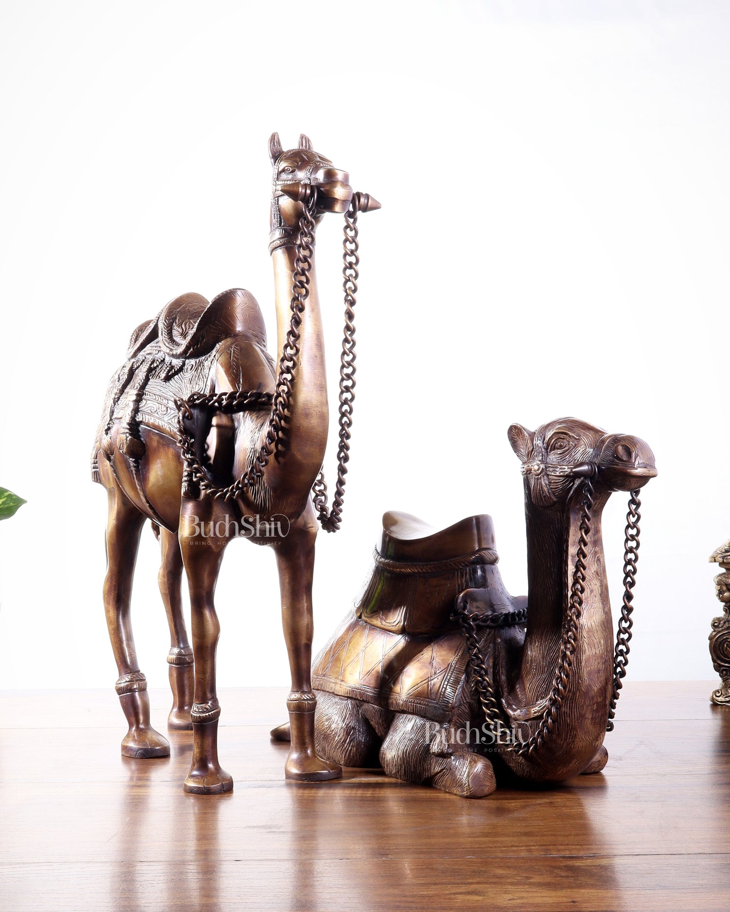 Brass Camel Statue Pair – Standing and Seated (Vastu Approved) 17" | 100% Certified Copper & Brass - Sama Homes Idol - Brass Sculpture